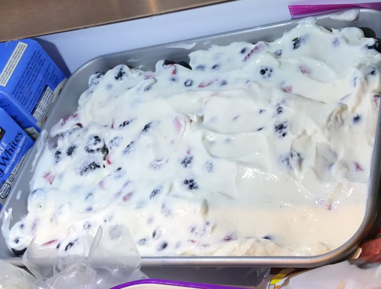 Blueberry Yogurt Protein Bites