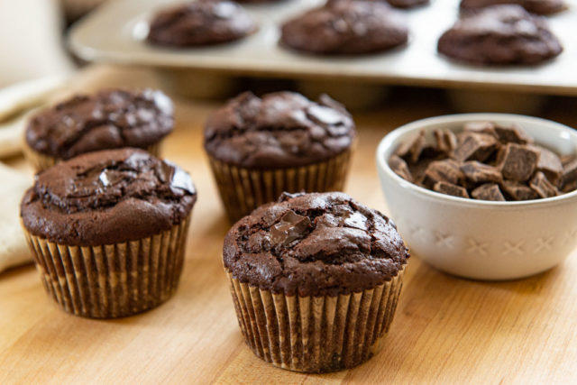 Chocolate Chocolate Chunk Muffin