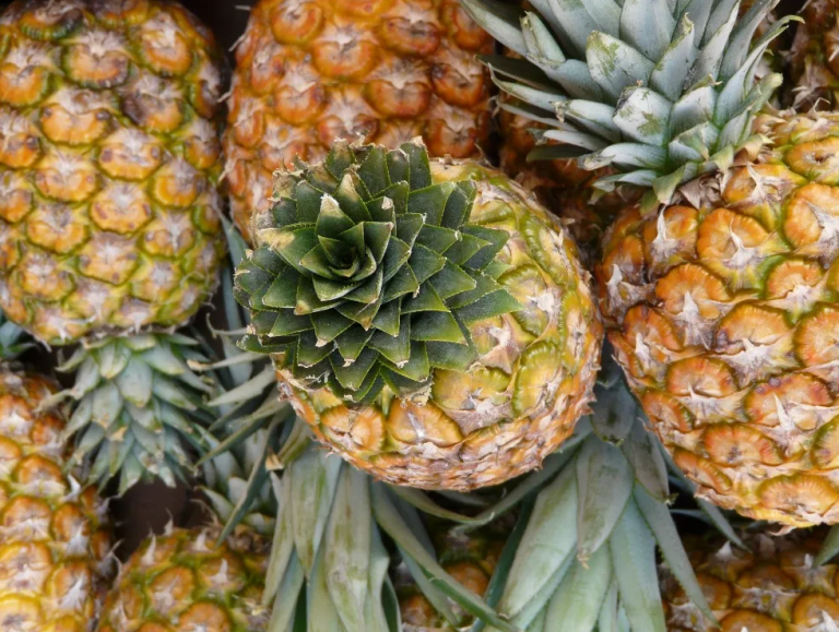 The Sweet Secret of Pineapples: A Simple Guide to Picking the Perfect Fruit