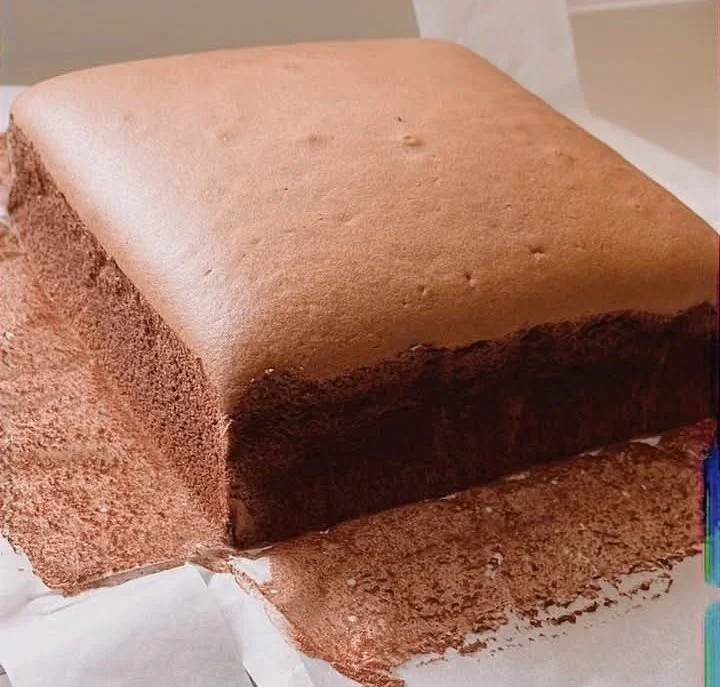 Deliciously moist and airy Chocolate Chiffon Cake slice on a plate.