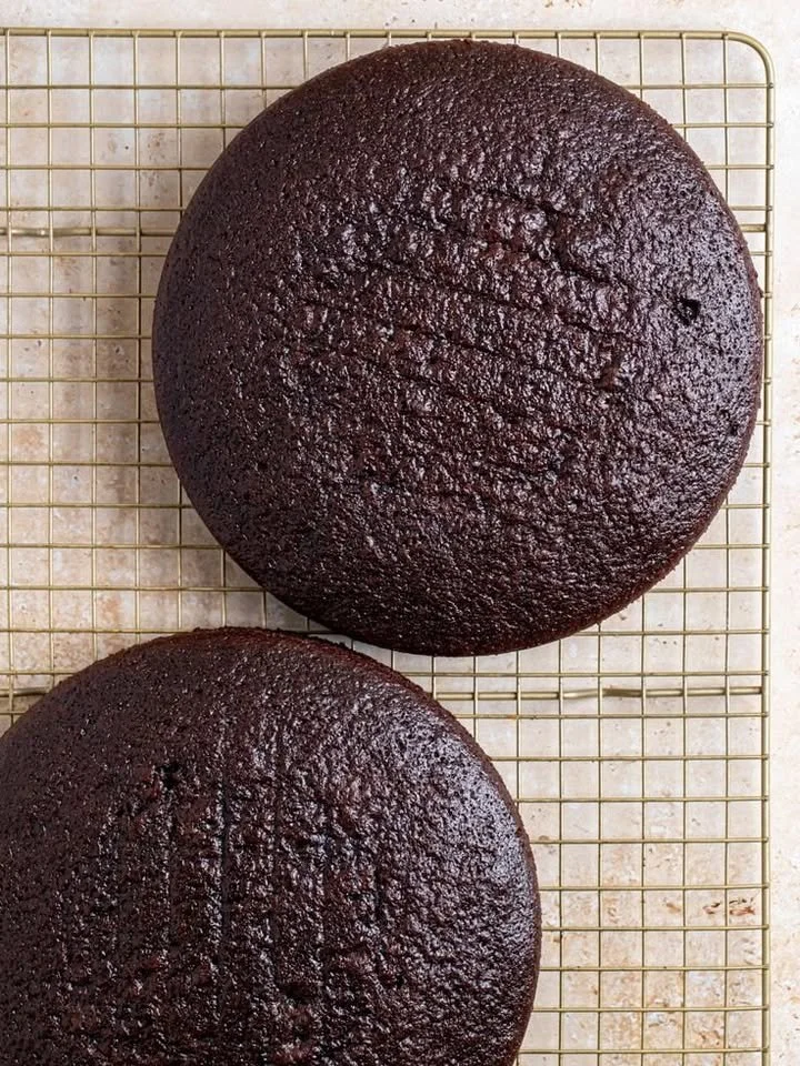 Delicious Coffee Chocolate Cake with chocolate frosting and coffee beans on top