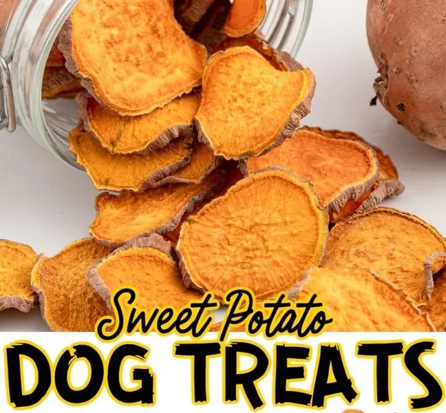 Homemade sweet potato dog treats for healthy pet snacks