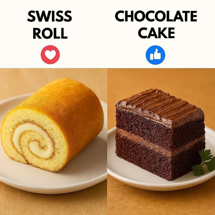 Delicious Swiss Roll dessert with cream filling and chocolate glaze