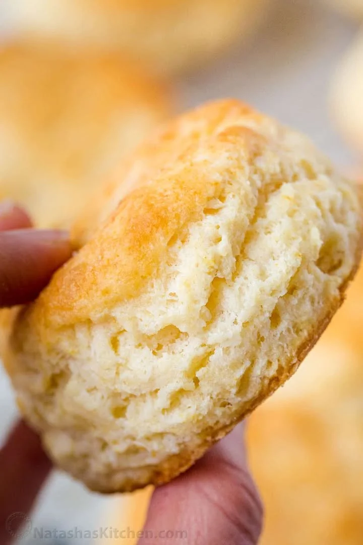 Delicious homemade biscuits recipe for the best biscuits you will ever taste.