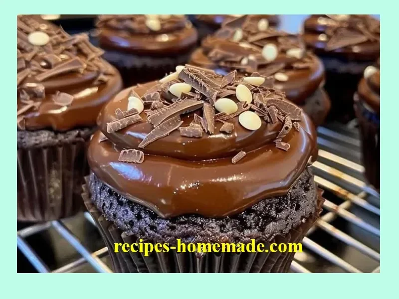 Delicious chocolate fudge cupcakes topped with rich chocolate frosting