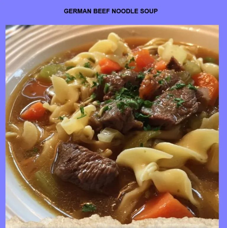 German Beef Noodle Soup