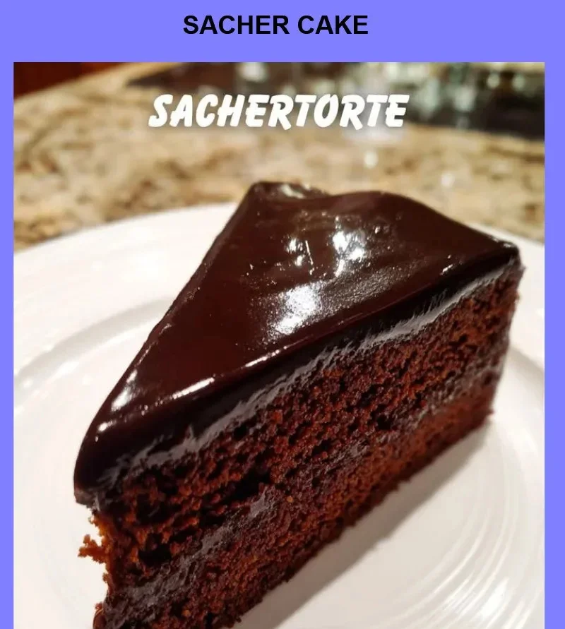 Delicious Sacher Cake with layers of chocolate and apricot jam
