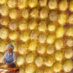 Every member of our family celebrates when they find out I'm making these for dinner. A family favorite for sure! Delicious family favorite dinner recipe that everyone loves